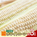【ふるさと納税】三木町産 ホワイトコーン 約3.0kg とうもろこし 野菜 コーン 旬の野菜 旬 季節の野菜 季節 贈答 贈り物 ギフト プレゼント おすそ分け...