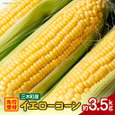 【ふるさと納税】三木町産 ゴールドラッシュ 約3.5kg ゴールドラッシュ とうもろこし 野菜 コーン イエローコーン 旬の野菜 旬 季節の野菜 季節 贈答 贈...