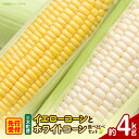 【ふるさと納税】三木町産 ゴールドラッシュとホワイトコーンの食べ比べセット とうもろこし ゴールドラッシュ ホワイトコーン イエローコーン 食べ比べ セット 食...