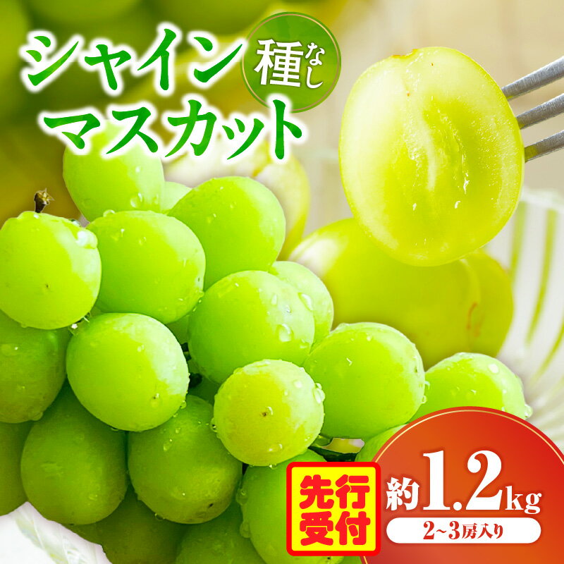 シャインマスカット 2〜3房入り(約1.2kg)果物 フルーツ デザート スイーツ マスカット 種無し 種無しマスカット 贈答 贈り物 ギフト プレゼント お祝い 内祝い お中元 グルメ おすすめ 人気 ぶどう ご褒美 シャイン 旬 特産品 香川県 三木町 送料無料