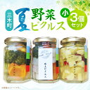 【ふるさと納税】新鮮!三木町夏野菜ピクルス 小(140g)3個セット ピクルス 野菜 夏野菜 果物 フルーツ 漬物 お漬物 和風 洋風 デザート 酢たれ たれ ...