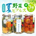 【ふるさと納税】新鮮!三木町夏野菜ピクルス 大(290g)3個セット ピクルス 野菜 夏野菜 果物 フルーツ 漬物 お漬物 和風 洋風 デザート 酢たれ たれ ...