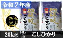 【ふるさと納税】983　【令和2年香川県産】讃岐米こしひかり 20kg