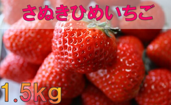 【ふるさと納税】032　三木町地域いちご部会「さぬきひめ」1.5kg