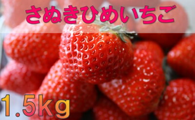 楽天ふるさと納税　【ふるさと納税】032　三木町地域いちご部会「さぬきひめ」1.5kg