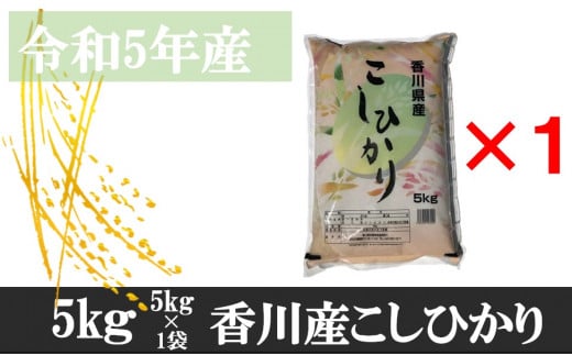 【ふるさと納税】995　令和5年産香川県産こしひかり　5kg　紙袋配送...