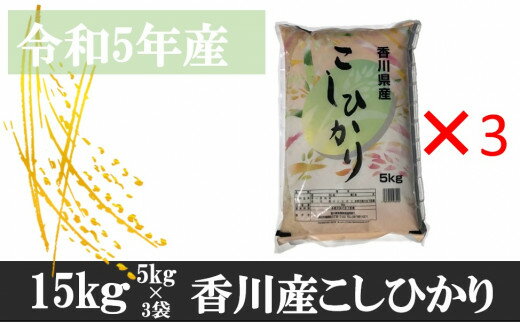 【ふるさと納税】893　令和5年産香川県産こしひかり　5kg×3　紙袋配送