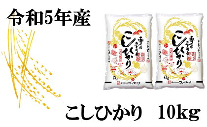 543　【令和5年香川県三木町産】讃岐米こしひかり 10kg