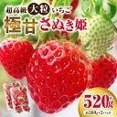 【ふるさと納税】超高級大粒いちご 極甘さぬき姫260g×2パック(ハンモックトレー) いちご 大粒 高級 さぬき姫 果物 フルーツ おすすめ 旬 イチゴ グルメ...