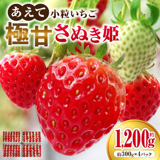 【ふるさと納税】”あえて”小粒いちご 極甘さぬき姫1,200g×1箱 いちご 小粒 高級 さぬき姫 果物 フルーツ おすすめ 旬 イチゴ グルメ 季節 旬の果物 ギフト スイーツ パック 果実 贈り物 化粧箱 贈答用 デザート 人気 果肉 生鮮食品 国産 冷蔵 香川県 三木町 【ふるさと納税】”あえて”小粒いちご 極甘さぬき姫1,200g×1箱 いちご 小粒 高級 さぬき姫 果物 フルーツ おすすめ 旬 イチゴ グルメ 季節 旬の果物 ギフト スイーツ パック 果実 贈り物 化粧箱 贈答用 デザート 人気 果肉 生鮮食品 国産 冷蔵 香川県 三木町