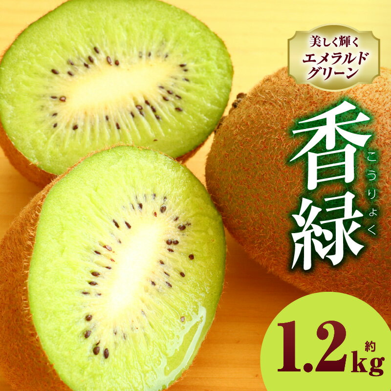 【ふるさと納税】キウイフルーツ(香緑) 1.2kg キウイ フルーツ 果物 旬 旬の果物 キウイフルーツ デザート 生鮮食品 贈り物 贈答 お裾分け おすすめ 人気 ギフト グルメ 特産品 果肉 季節 季節の果物 香川県 三木町 送料無料