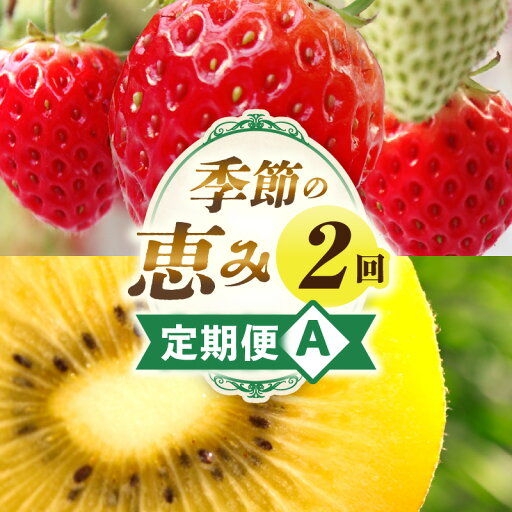 【ふるさと納税】季節の恵み2回定期便A 果物 フルーツ 定期便 フルーツ定期便 デザート スイーツ イチゴ ゴールドキウイ 青果物 キウイ 果物定期便 旬 旬の果物 ギフト グルメ ご褒美 贈答 定期 人気 オススメ 厳選 お試し 香川県 三木町 送料無料 レビューキャンペーン 【ふるさと納税】季節の恵み2回定期便A 果物 フルーツ 定期便 フルーツ定期便 デザート スイーツ イチゴ ゴールドキウイ 青果物 キウイ 果物定期便 旬 旬の果物 ギフト グルメ ご褒美 贈答 定期 人気 オススメ 厳選 お試し 香川県 三木町 送料無料 レビューキャンペーン