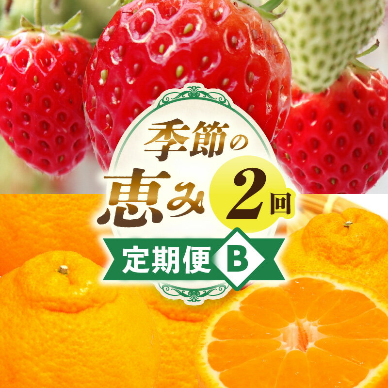 【ふるさと納税】季節の恵み2回定期便B フルーツ 果物 定期便 果物定期便 フルーツ定期便 定期 旬 旬の果物 デザート スイーツ イチゴ デコポン 柑橘 柑橘系 贈り物 贈答 ギフト グルメ 人気 おすすめ ご褒美 お取り寄せ 旬の定期便 厳選 香川県 三木町 送料無料