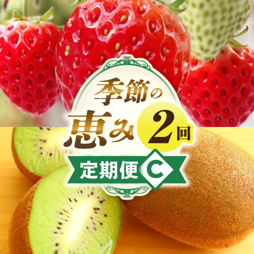 【ふるさと納税】季節の恵み2回定期便C 果物 スイーツ フルーツ デザート 旬の果物 旬のフルーツ 旬 定期便 果物定期便 旬のフルーツ定期便 フルーツ定期便 定期 厳選 キウイ イチゴ ご褒美 贈り物 贈答 ギフト 果実 香川県 三木町 送料無料 レビューキャンペーン 【ふるさと納税】季節の恵み2回定期便C 果物 スイーツ フルーツ デザート 旬の果物 旬のフルーツ 旬 定期便 果物定期便 旬のフルーツ定期便 フルーツ定期便 定期 厳選 キウイ イチゴ ご褒美 贈り物 贈答 ギフト 果実 香川県 三木町 送料無料 レビューキャンペーン