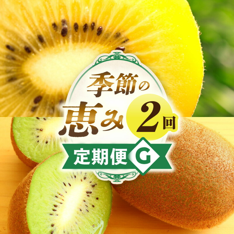 【ふるさと納税】季節の恵み2回定期便G 果物 フルーツ 定期便 フルーツ定期便 果物定期便 旬 旬の果物 旬のフルーツ 旬の定期便 果実 果汁 デザート スイーツ キウイ キウイフルーツ ゴールドキウイ 厳選 贈り物 贈答 ギフト ご褒美 香川県 三木町 送料無料