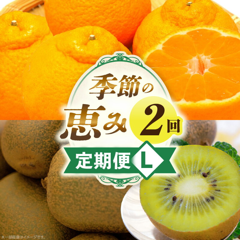 【ふるさと納税】季節の恵み2回定期便L 果物 フルーツ 定期便 果物定期便 フルーツ定期便 旬の果物 旬の定期便 旬のフルーツ 定期便 旬の果物定期便 定期 人気 おすすめ 厳選 ギフト 贈答 贈り物 ご褒美 デザート スイーツ 香川県 三木町 送料無料 レビューキャンペーン