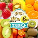 【ふるさと納税】季節の恵み6回定期便A 果物 フルーツ 青果 青果物 デザート スイーツ 旬 季節 旬の果物 季節の果物 生鮮食品 生鮮 贈答 贈り物 ギフト ...