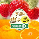【ふるさと納税】季節の恵み2回定期便Q 果物 フルーツ 青果 青果物 デザート スイーツ 果実 旬 季節 旬の果物 季節の果物 生鮮食品 生鮮 贈答 贈り物 ギ...