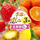 【ふるさと納税】季節の恵み3回定期便L 果物 フルーツ 青果 青果物 デザート スイーツ 果実 旬 季節 旬の果物 季節の果物 生鮮食品 生鮮 贈答 贈り物 ギ...