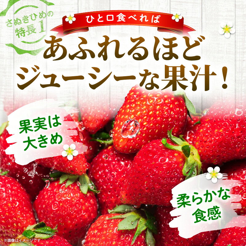 【ふるさと納税】【先行予約】【食べきりサイズ】さぬきひめいちごDXパック　約500g | スイーツ いちご ストロベリー さぬきひめ 苺 冷蔵 フルーツ 旬 果物 青果 青果物 お裾分け ギフト 香川県 デザート 青果物 先行予約 季節限定 旬 おすすめ 三木町 f373419-miki-10001186 香川県三木町 サンプル画像3