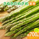 【ふるさと納税】香川オリジナルアスパラガス「さぬきのめざめ」(セミロング)夏芽 700g野菜 アスパラ アスパラガス さぬきのめざめ 料理 柔らかい 夏 冷蔵 新鮮 香川県 三木町 セミロング おすすめ