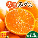 【ふるさと納税】大玉みかん約4.5kg 大玉みかん 大玉 みかん ミカン 蜜柑 オレンジ 柑橘 柑橘系 果物 フルーツ 青果 おすすめ お取り寄せ ギフト 香川...