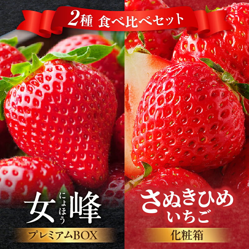 [数量限定]厳選いちご2種 食べ比べセット いちご 果物 フルーツ さぬきひめ 女峰 贈答 食べ比べ いちご食べ比べ 厳選 贈り物 ギフト 旬 旬の果物 ご褒美 デザート 化粧箱 苺 旬のいちご フルーツ食べ比べ 香川県 三木町 送料無料