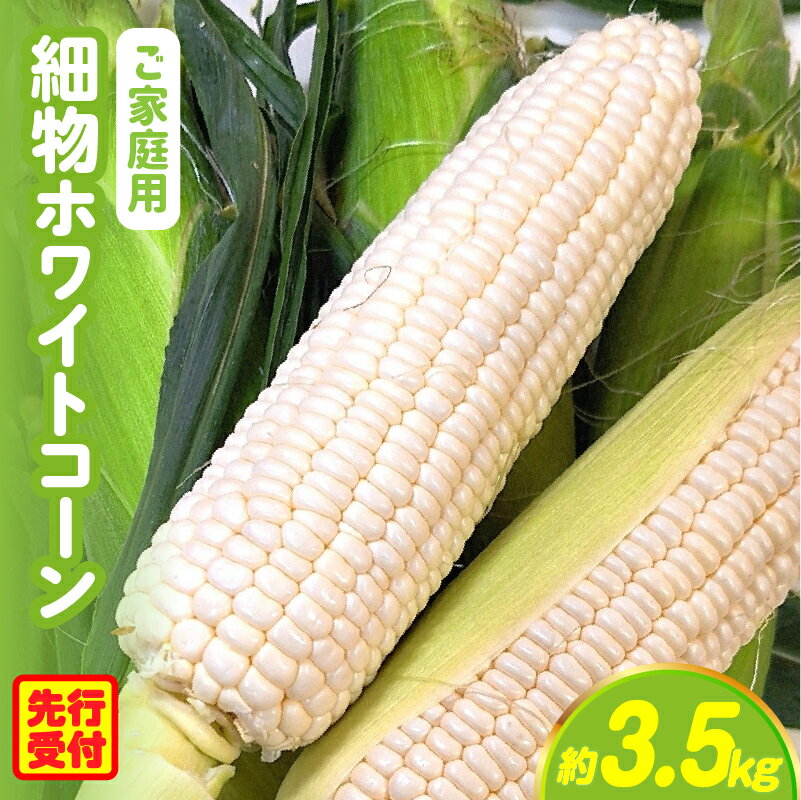 [先行予約][訳あり]ご家庭用細物ホワイトコーン約3.5kg とうもろこし 野菜 コーン 旬の野菜 旬 季節の野菜 季節 贈答 贈り物 ギフト プレゼント おすそ分け お野菜 ふるさと グルメ お取り寄せ 人気 おすすめ 特産 特産品 生鮮食品 香川県 三木町
