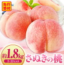 【ふるさと納税】さぬきの桃 約1.8kg(5~10玉入り) (さぬき市共通返礼品)もも ピーチ 果物 青果物 青果 果実 生鮮食品 フルーツ デザート スイーツ 人気 おすすめ グルメ お取り寄せ 旬 旬の果物 季節 特産 特産品 贈答 贈り物 ギフト おすそ分け 香川県 三木町 送料無料