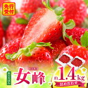 【ふるさと納税】あぐりぼん いちご「女峰」 詰め合わせ約1.4kg (約700g×2箱)いちご 果物 フルーツ デザート ストロベリー 果肉 スイーツ 甘い 国...
