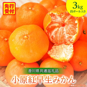 【ふるさと納税】小原紅早生みかん 3kg【香川県共通返礼品】 みかん フルーツ 果物 果実 小原紅早生 デザート 贈答 贈り物 柑橘 柑橘系 グルメ 人気 おすすめ 旬 旬のみかん 季節 季節のみかん 柑橘果物 果汁 香川県 三木町 送料無料