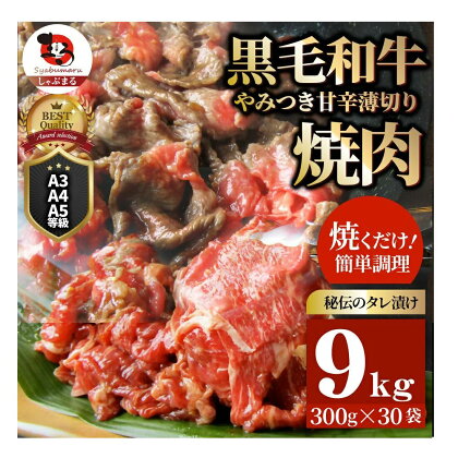 1131-6　とろける黒毛和牛リッチな薄切り焼肉9kg(300g×30P) 秘伝のタレ漬け