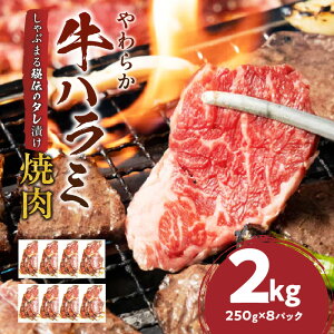 【ふるさと納税】1132-4 やわらか牛ハラミ焼肉 秘伝のタレ漬け2kg(250g×8P) 牛肉 焼肉 タレ 漬け 秘伝 柔らかい 味付き やきにく ハラミ 希少 小分け 厚切り 冷凍 BBQ バーベキュー 香川県 三木町 国産 おすすめ 三木町 送料無料