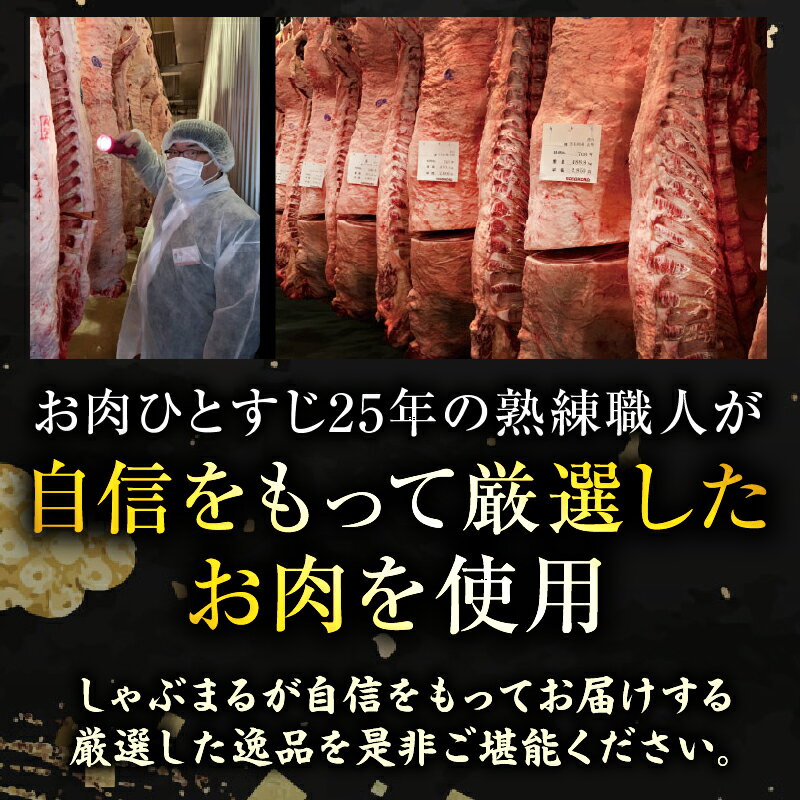【ふるさと納税】【選べる内容量】ハンバーグデミシチュー 5食セット~30食セット ハンバーグ デミシチュー シチュー 濃厚 牛スジ ダシ ジューシー 旨味 濃厚デミ 特製 冷凍 香川県 三木町 おすすめ 肉 お肉 おすすめ 人気 牛 牛肉 ギフト お裾分け 贈り物 贈答 送料無料