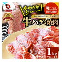 28位! 口コミ数「2件」評価「3」1132-2　やわらか牛ハラミ焼肉 秘伝のタレ漬け1kg(250g×4P)