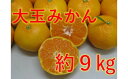 【ふるさと納税】大玉みかん 約9kg みかん 柑橘 果物 フルーツ 大玉みかん 大玉みかん 大玉 みかん ミカン 蜜柑 オレンジ 柑橘 柑橘系 果物 フルーツ ...
