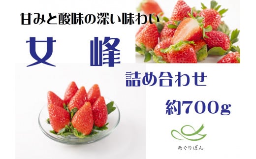 【ふるさと納税】あぐりぼん いちご「女峰」 詰め合わせ(約700g)