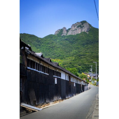 【ふるさと納税】「瀬戸・たかまつネットワーク」香川県　アート島めぐり(小豆島・豊島・直島方面)　2日間【1280371】