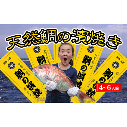 瀬戸内海産 天然鯛の浜焼き4～6人前　【魚貝類・加工食品】