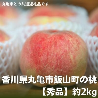【ふるさと納税】香川県丸亀市飯山町の桃【秀品】約2kg　【果物・もも・桃・フルーツ】　お届け：2023年7月上旬〜8月中旬のサムネイル