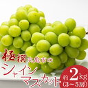 8位! 口コミ数「1件」評価「1」香川県丸亀市のシャインマスカット 約2kg　【果物・ぶどう・ブドウ・フルーツ・シャインマスカット・マスカット・約2kg】　お届け：2024年･･･ 