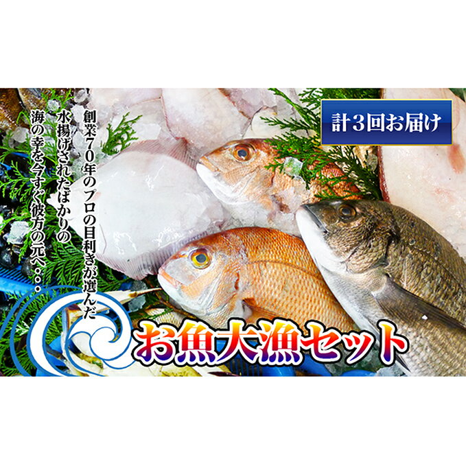 27位! 口コミ数「0件」評価「0」［頒布会3回］瀬戸内海産の海産物の詰め合わせ（下処理アリ）　【定期便・タイ サザエ カレイ サヨリ チヌ】