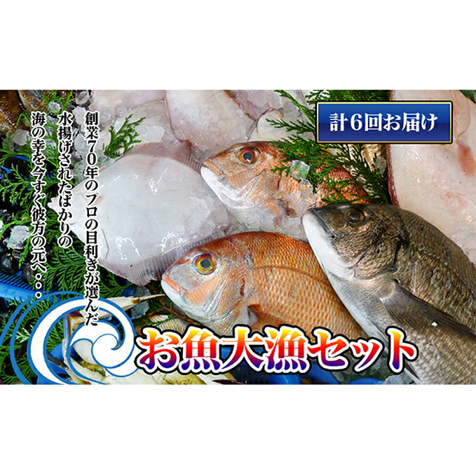 9位! 口コミ数「0件」評価「0」［頒布会6回］瀬戸内海産の海産物の詰め合わせ（下処理アリ）　【定期便・タイ サザエ カレイ サヨリ チヌ】