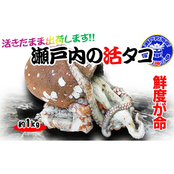【ふるさと納税】瀬戸内海産 水揚げされたばかりの活タコ 1kg　【魚貝類】　お届け：2022年5月20日から2022年12月20日のサムネイル