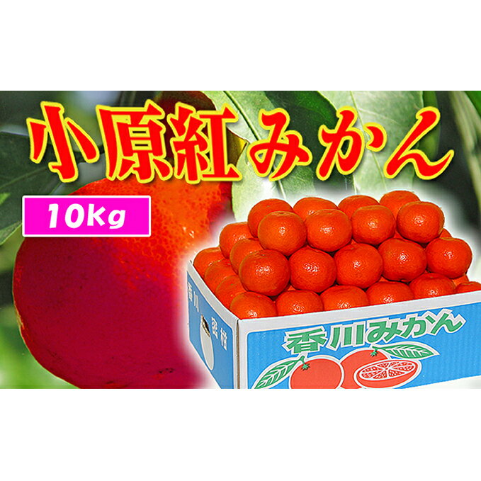 【ふるさと納税】香川県のオリジナル品種 小原紅早生みかん約5kg×2箱　【フルーツ・果物類・みかん・柑橘類】　お届け：2023年11月下旬～2024年1月中旬のサムネイル