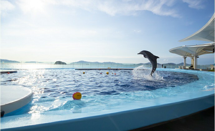 【ふるさと納税】四国水族館　＜大人＞ペア入館券　／体験型 チケット 旅行　【チケット・入場券・優待券】