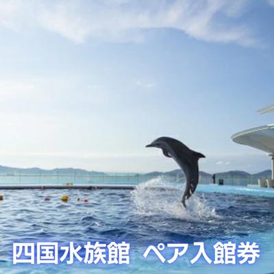 四国水族館　＜大人＞ペア入館券　／体験型 チケット 旅行　【チケット・入場券・優待券】