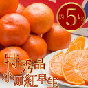 【ふるさと納税】特秀品!真っ赤なお蜜柑「小原紅早生」約5kg お届け:2025年11月中旬~2026年1月下旬