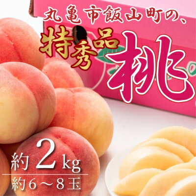 【ふるさと納税】特秀品！飯山の桃　約2kg　【 果物 フルー