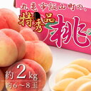 【ふるさと納税】秀品！飯山の桃　約2kg　【 果物 フルーツ